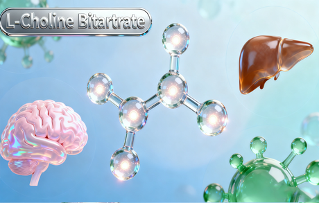 L-胆碱酒石酸氢盐的重要性.png