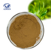 High purity 98% Tea Polyphenol Green Tea Extract CAS 84650-60-2