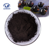 Black Currant Extract