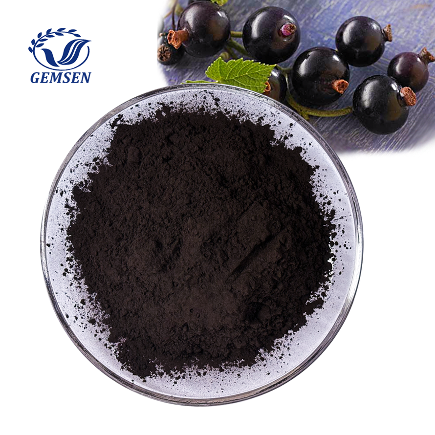 Black Currant Extract