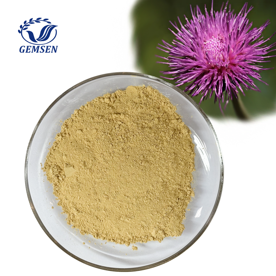 Premium 90% Silymarin Milk Thistle Extract for Liver Support and Detox CAS 65666-07-1