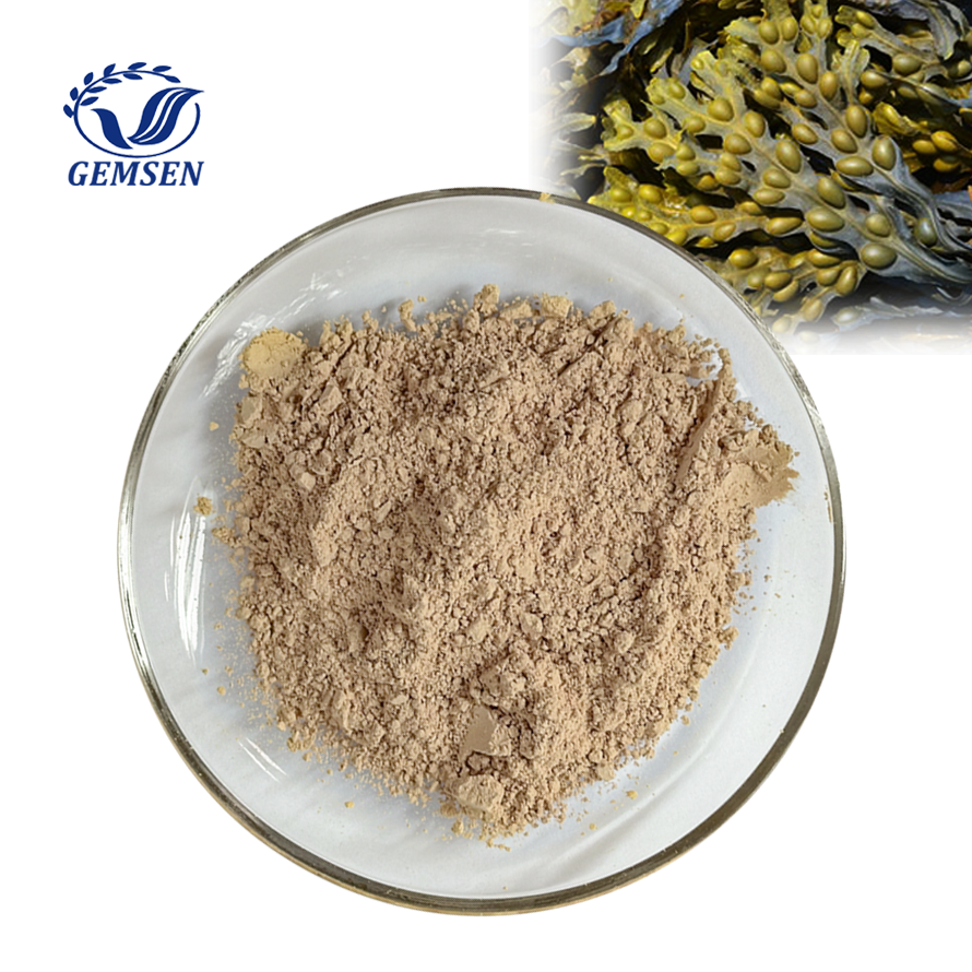 Natural Supplement Bladderwrack (Fucus Vesiculosus) Extract Powder 0.1% 0.2% 0.3% Iodine Titration from China