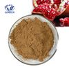 Top quality 98% Ellagic acid Pomegranate Peel Extract CAS 476-66-4