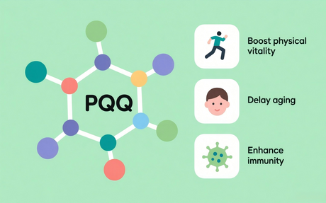 生成 PQQ 功效图片(1).png