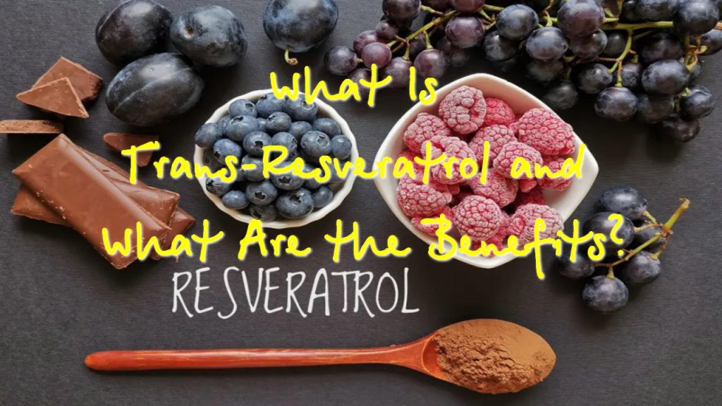 What-Is-Trans-Resveratrol-and-What-Are-the-Benefits-1-1024x576
