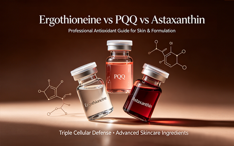 麦角硫因（Ergothioneine）VS.png